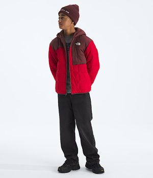 Boys’ Reversible Shasta Full-Zip Hooded Jacket