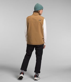 Men’s Apex Bionic 3 Vest