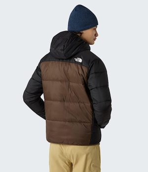 Men’s Quest Synthetic Jacket