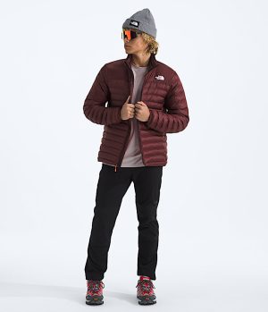 Men’s Terra Peak Jacket