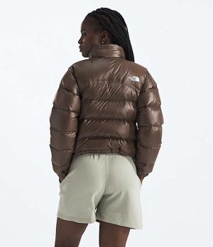 Women’s 2000 Retro Nuptse Jacket