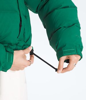 Women’s Nuptse Short DTM Jacket