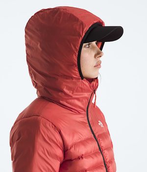 Women’s Terra Peak Hoodie