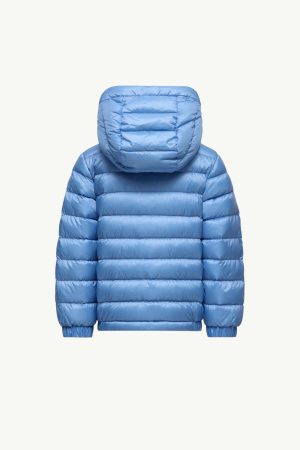 Dilar Hooded Down Jacket