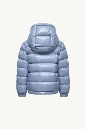 New Aubert Hooded Down Jacket